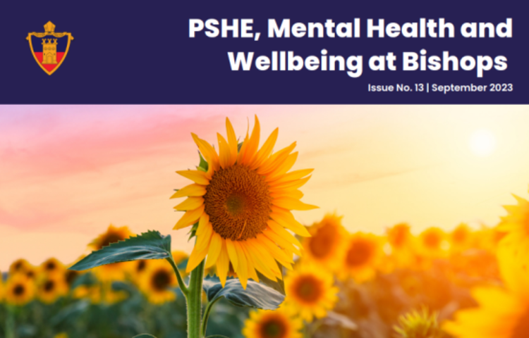 Image of PSHE, Mental Health and Wellbeing Newsletter Issue 13 available now